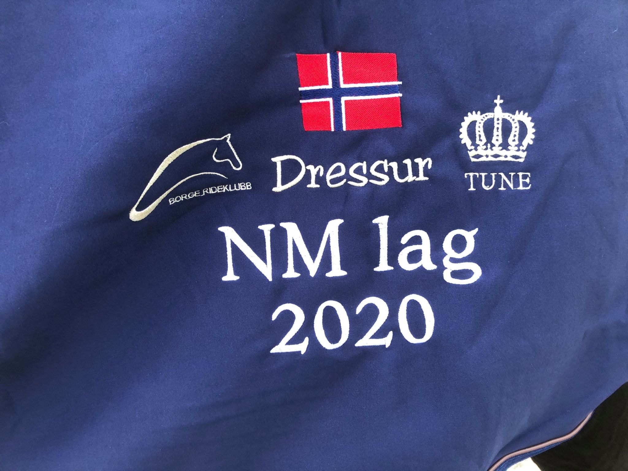 Gull til Skedsmo Rideklubb sitt hestelag under LagNM dressur